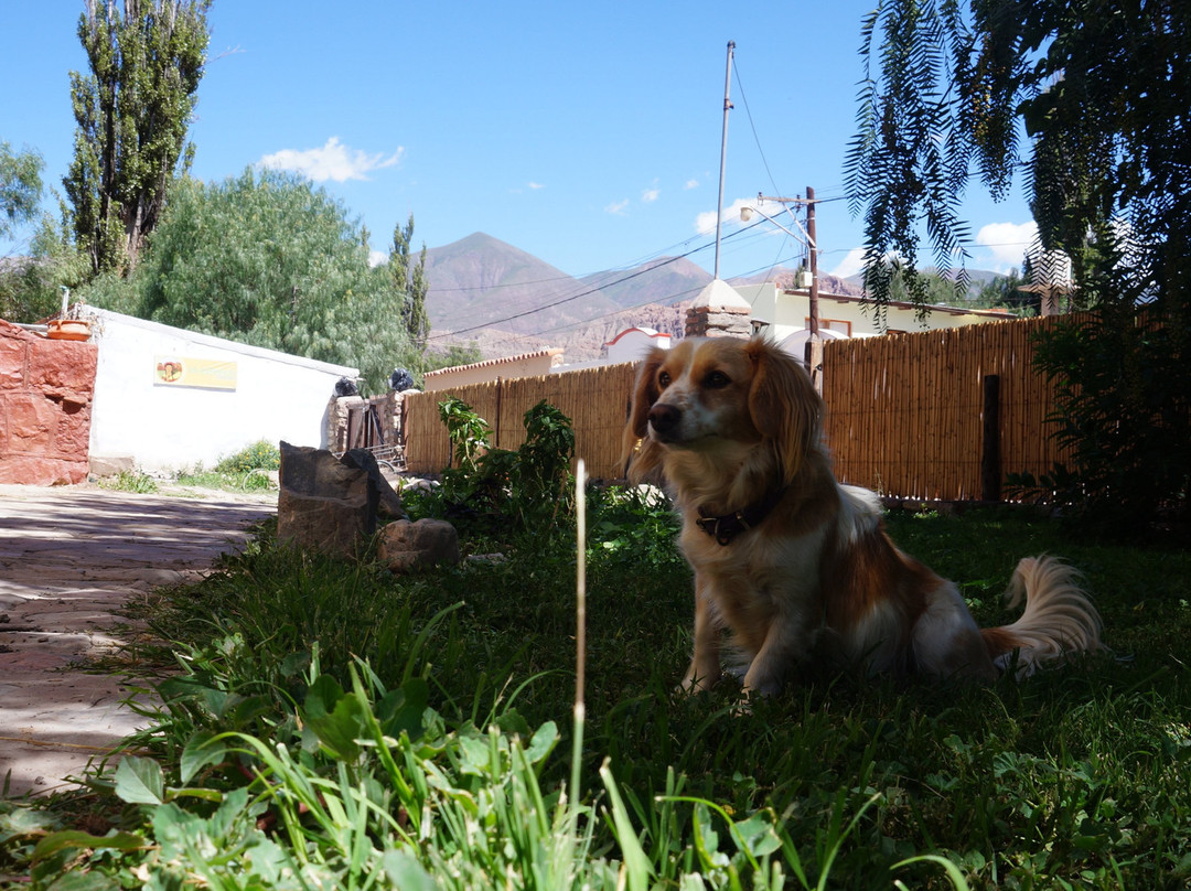 La Albahaca Hospedaje主图