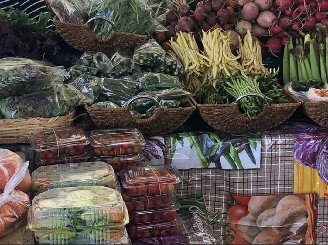 Marina Nuevo Vallarta-新瓦雅塔必去景点