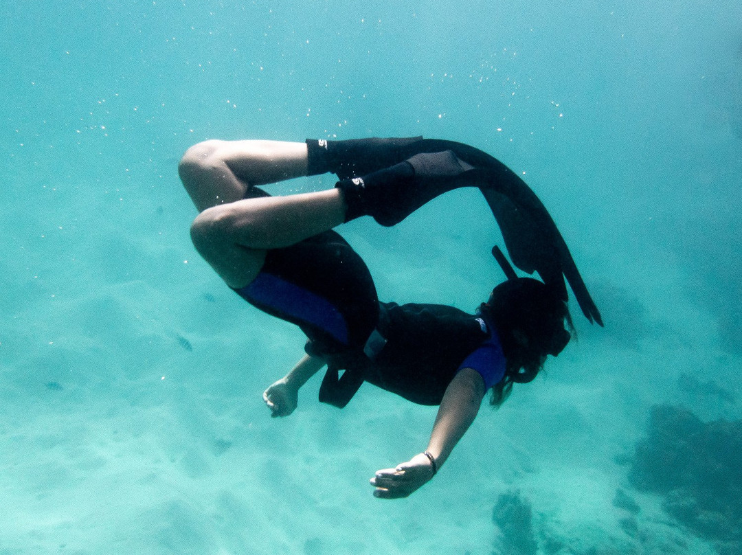 Apnosphere Freediving Mauritius景点图片