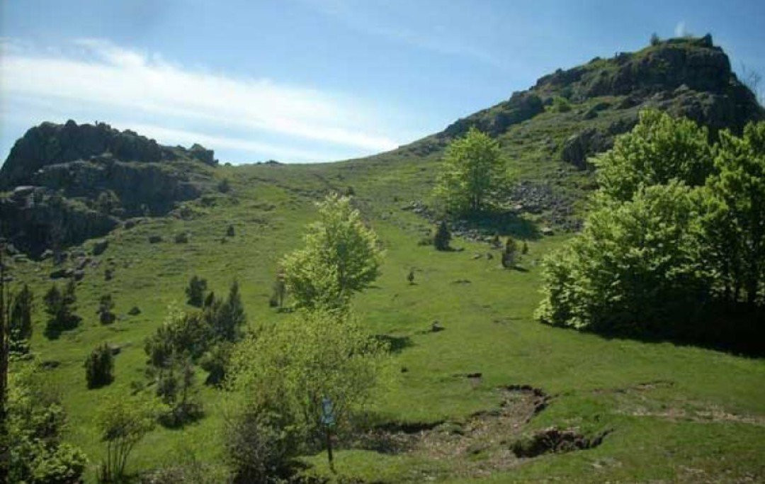 Monte Lama景点图片