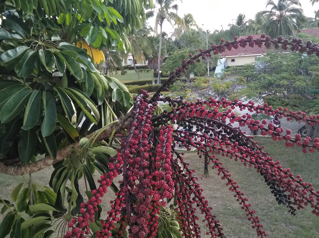 Gran Club Santa Lucía主图