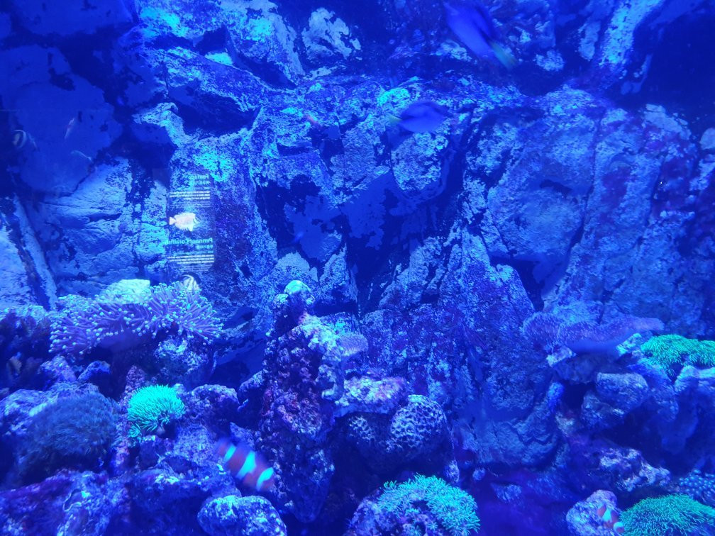 Hanwha Aqua Planet Ilsan-高阳市必去景点