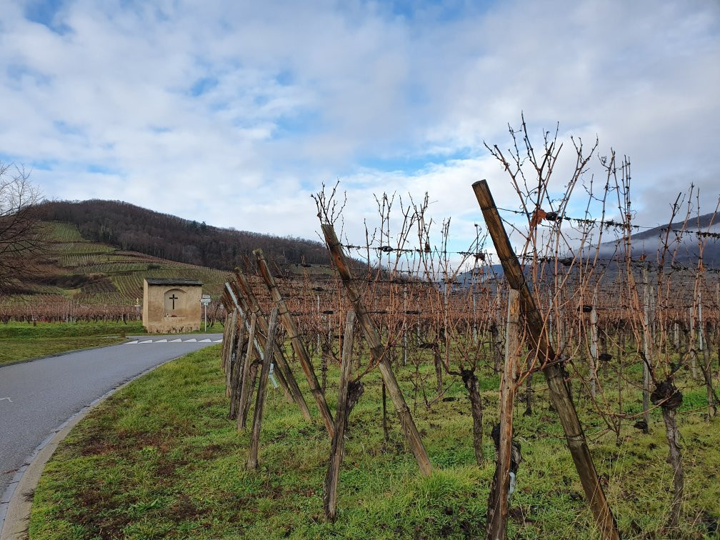 Domaine Binner Christian景点图片