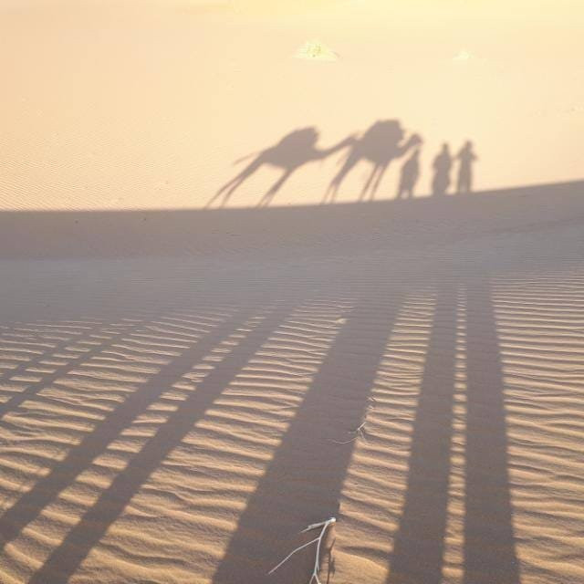 walkwithberbers-morocco-扎古拉必去景点