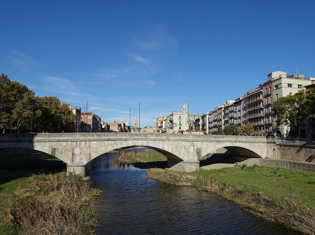 Pont de Pedra景点图片