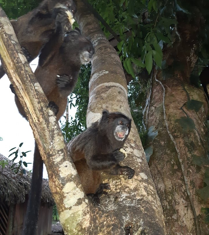 Archidona Aventura-Archidona必去景点