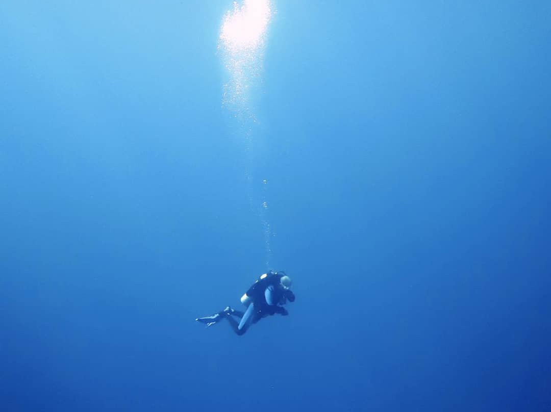 Dolphin Diver-Yanbu必去景点