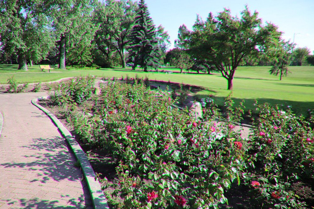 Henderson Lake Park景点图片