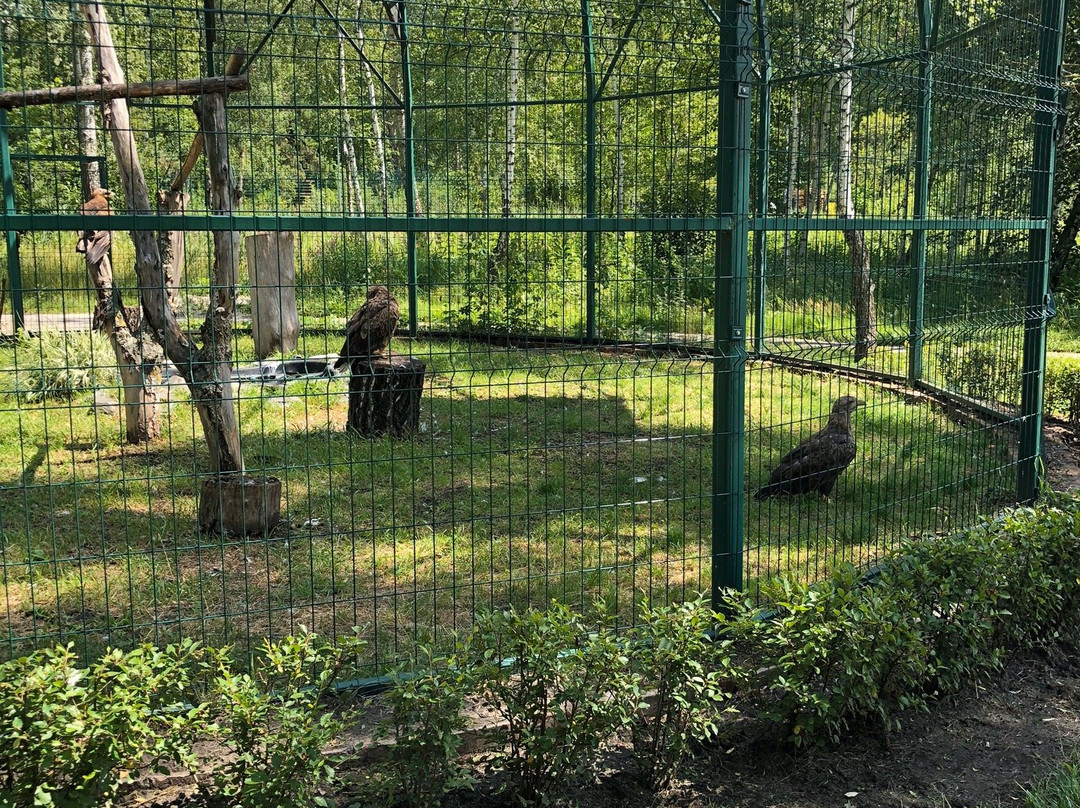 Belgorod Zoo景点图片