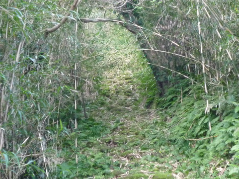 Todaisho Shrine-青岛村必去景点