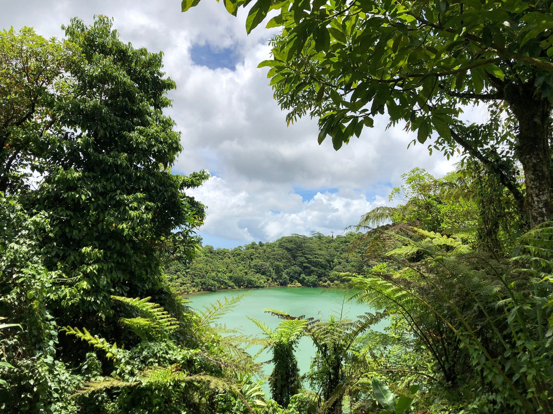 Rainforest Runaway Ecotours-阿皮亚必去景点