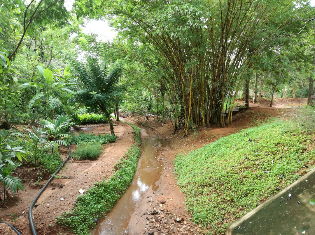 Rangiri Dambulla Resort主图