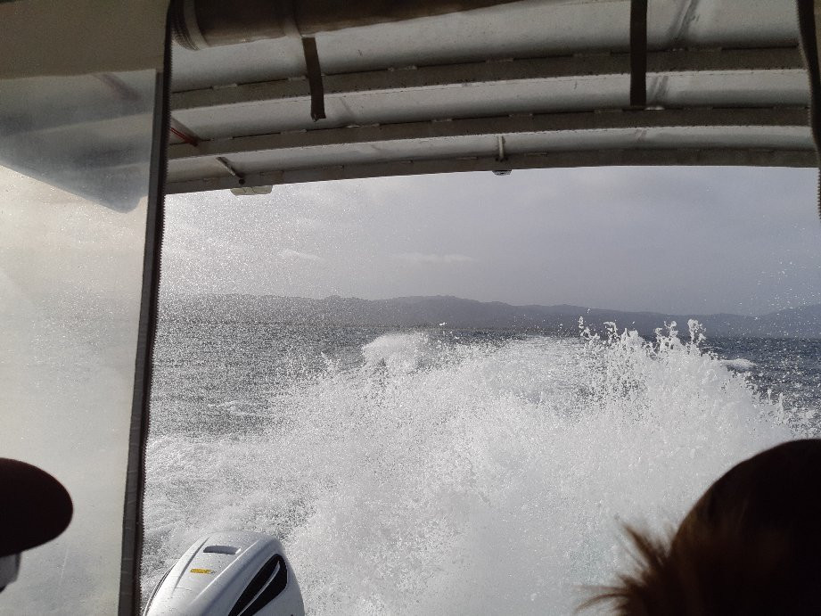 Kapiti Island Eco Experience-帕拉帕拉乌姆必去景点