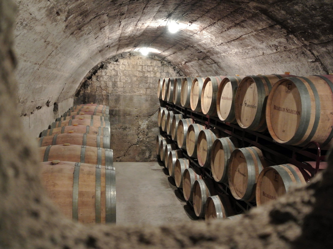 Bodega Beleluin-Alcanadre必去景点