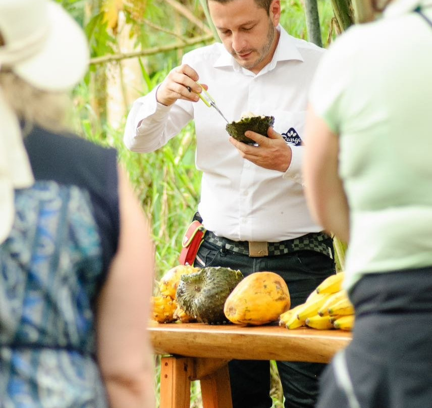 Hacienda la Pradera-Calarca必去景点