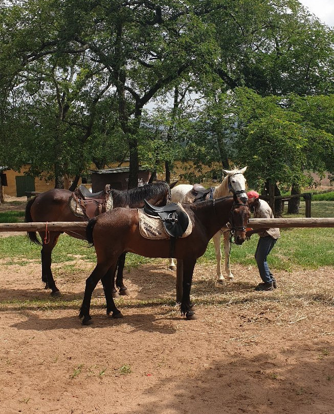 Horse Whispers-雾观必去景点