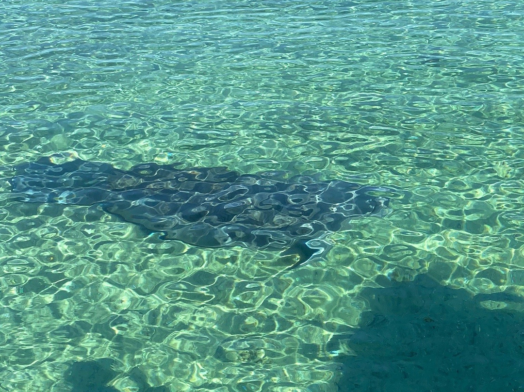 The Castaways on the River-Astor必去景点