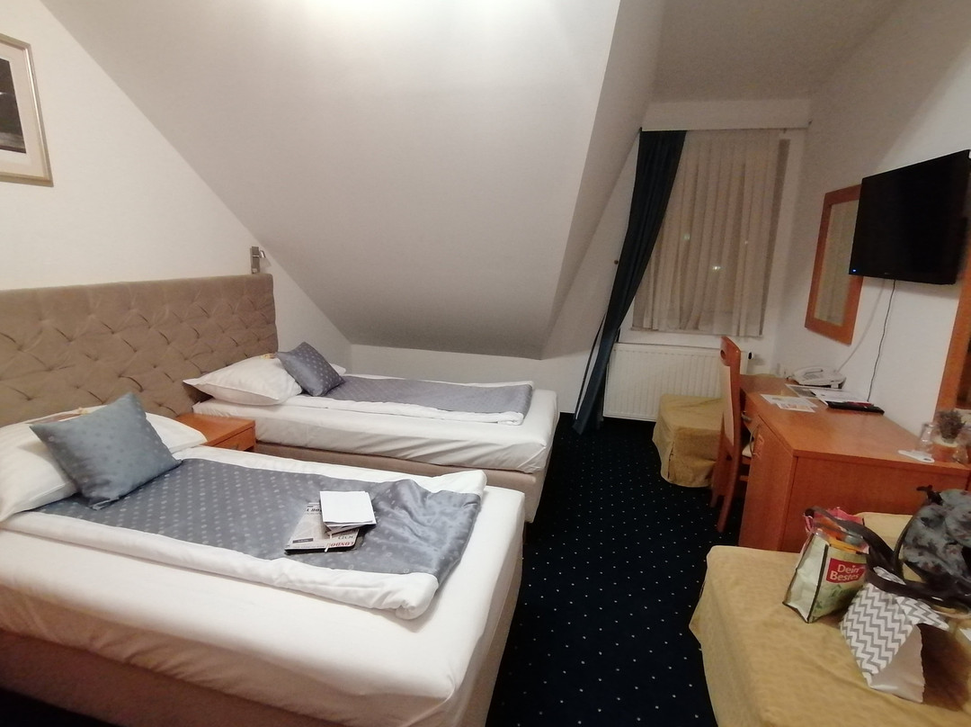 Hotel Varazdin主图