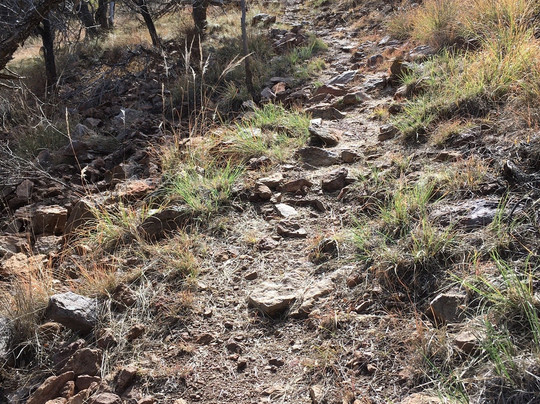 Madera Canyon Hiking Trail-Fort Davis必去景点