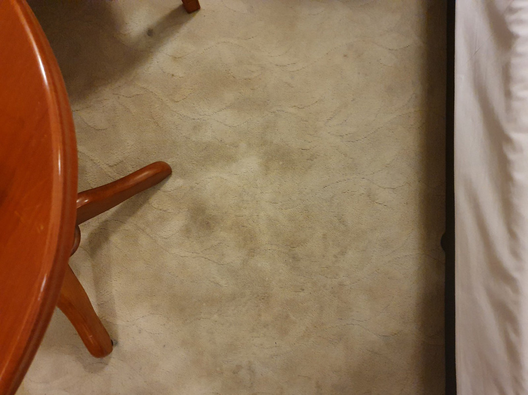 公园酒店普罗夫迪夫主图