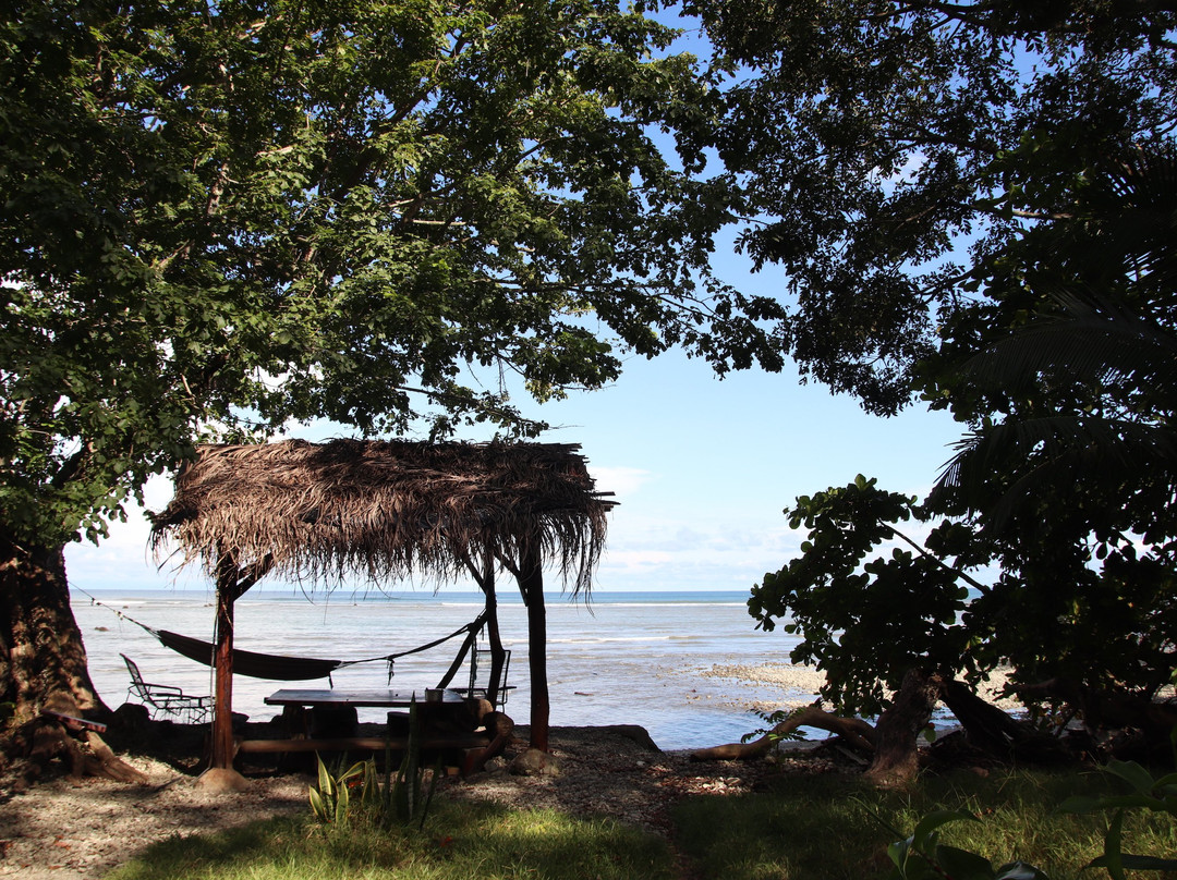 Howler Monkey Hotel主图