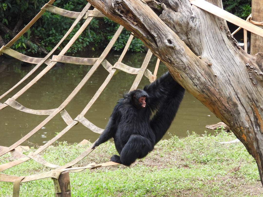 Parque Ecológico de São Carlos-Sao Carlos必去景点