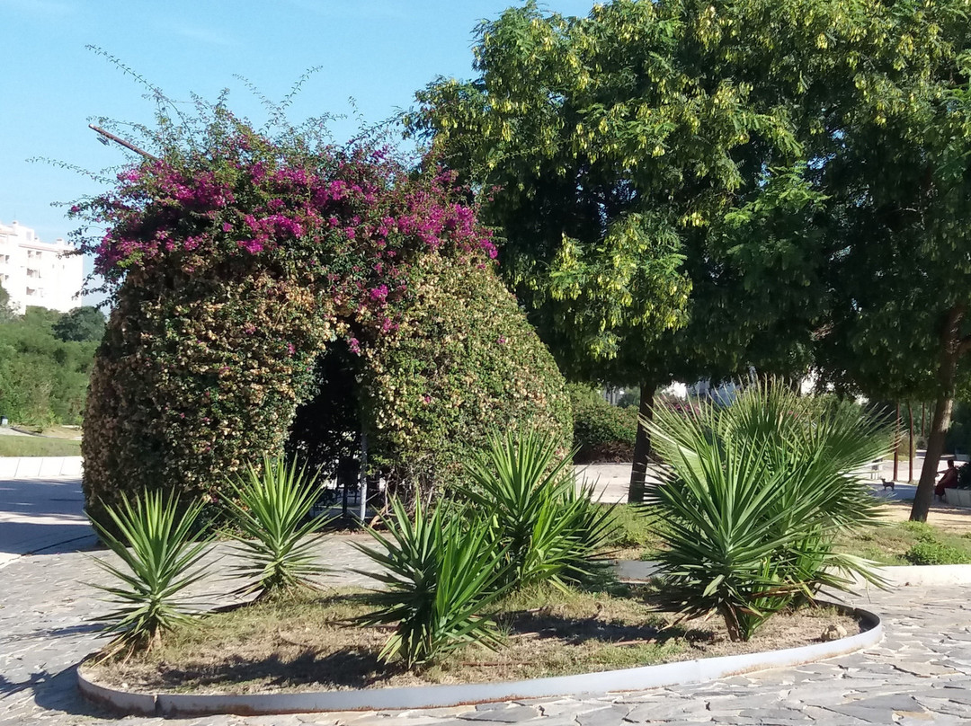 Parque Aromatico景点图片