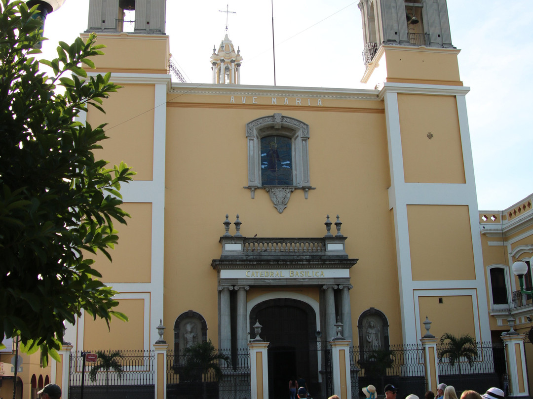 Cathedral Basilica de Colima景点图片