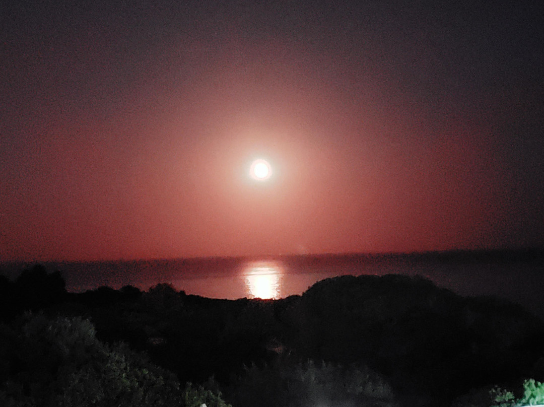 Vila Alba Resort主图