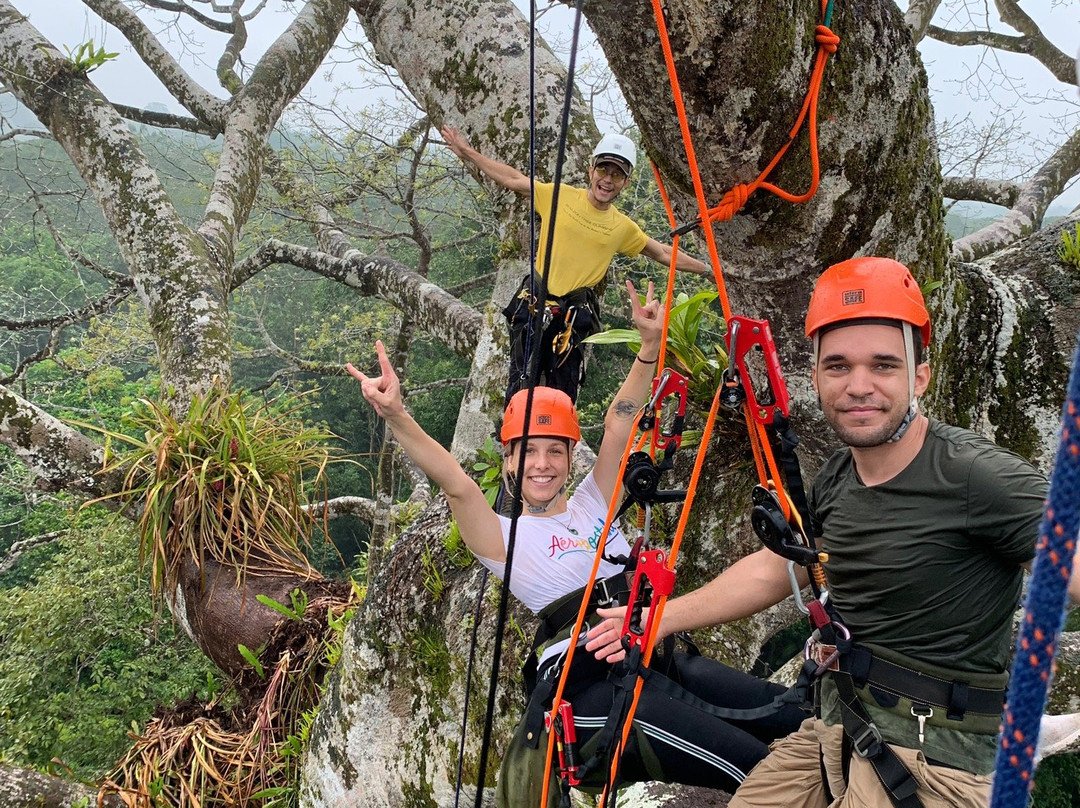 Amazon Tree Climbing景点图片