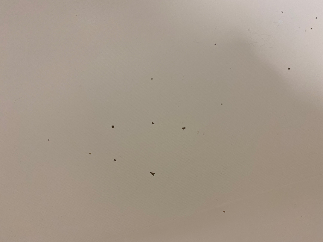 安科比奇旅馆主图