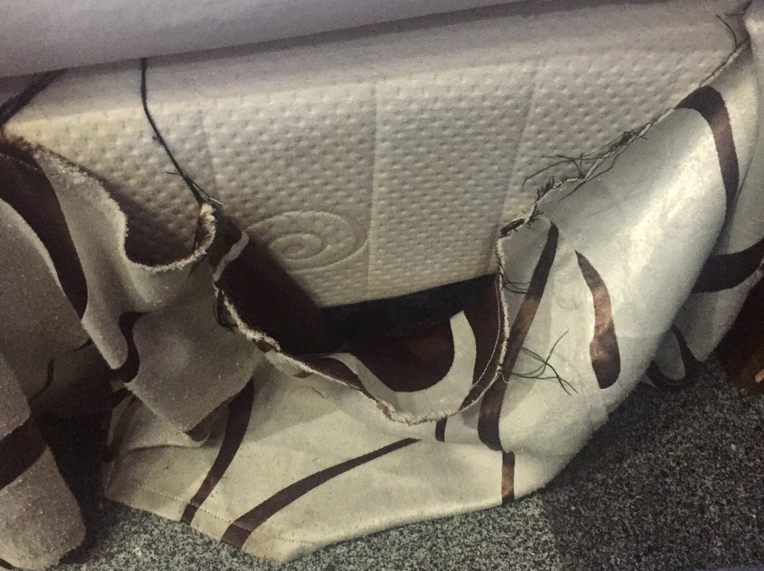 乔安娜度假别墅酒店主图