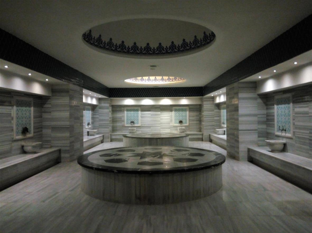 Crowne Plaza Kayseri By IHG主图