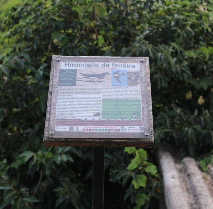 Sentier ornithologique de la Costa Verde景点图片
