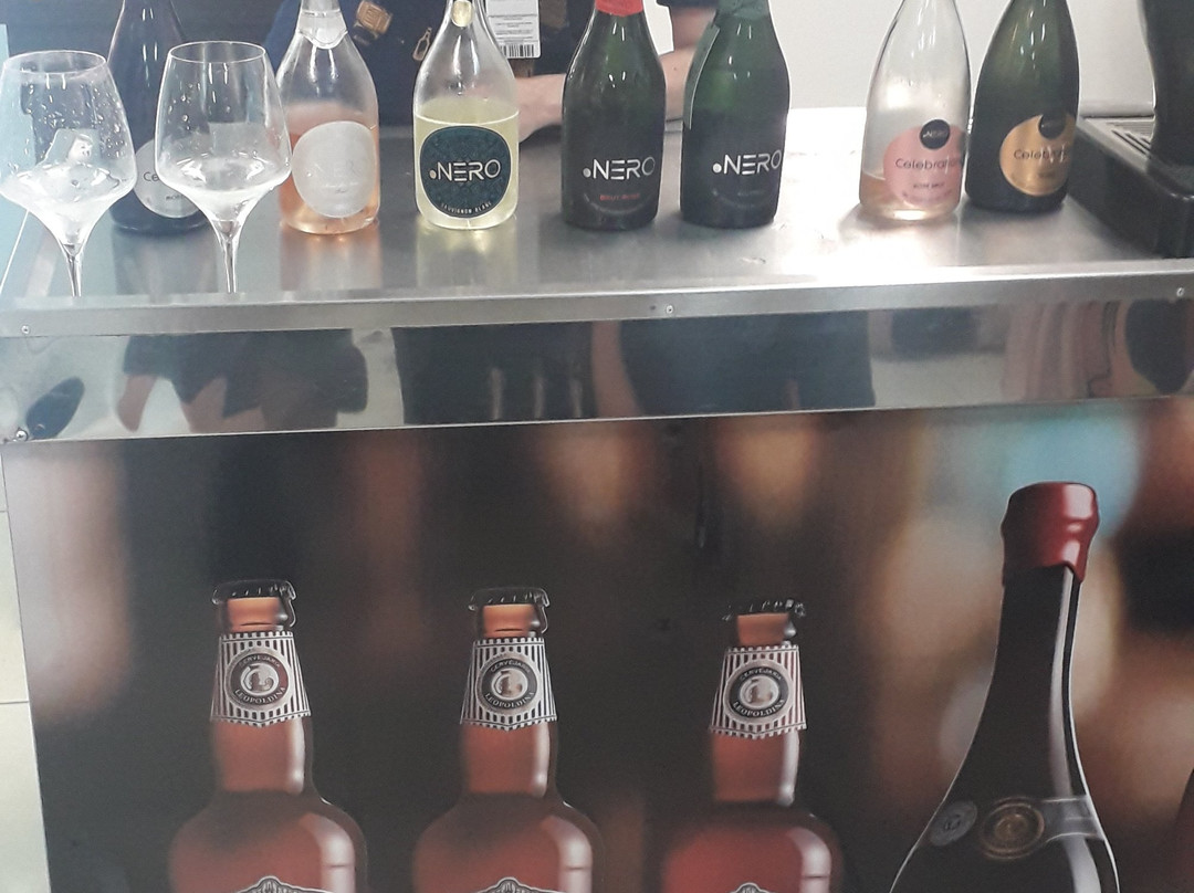 Domno Importadora Winery景点图片