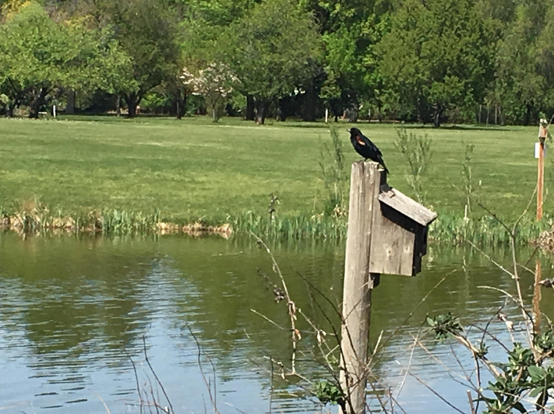 Yakima Area Arboretum & Botanical Garden景点图片