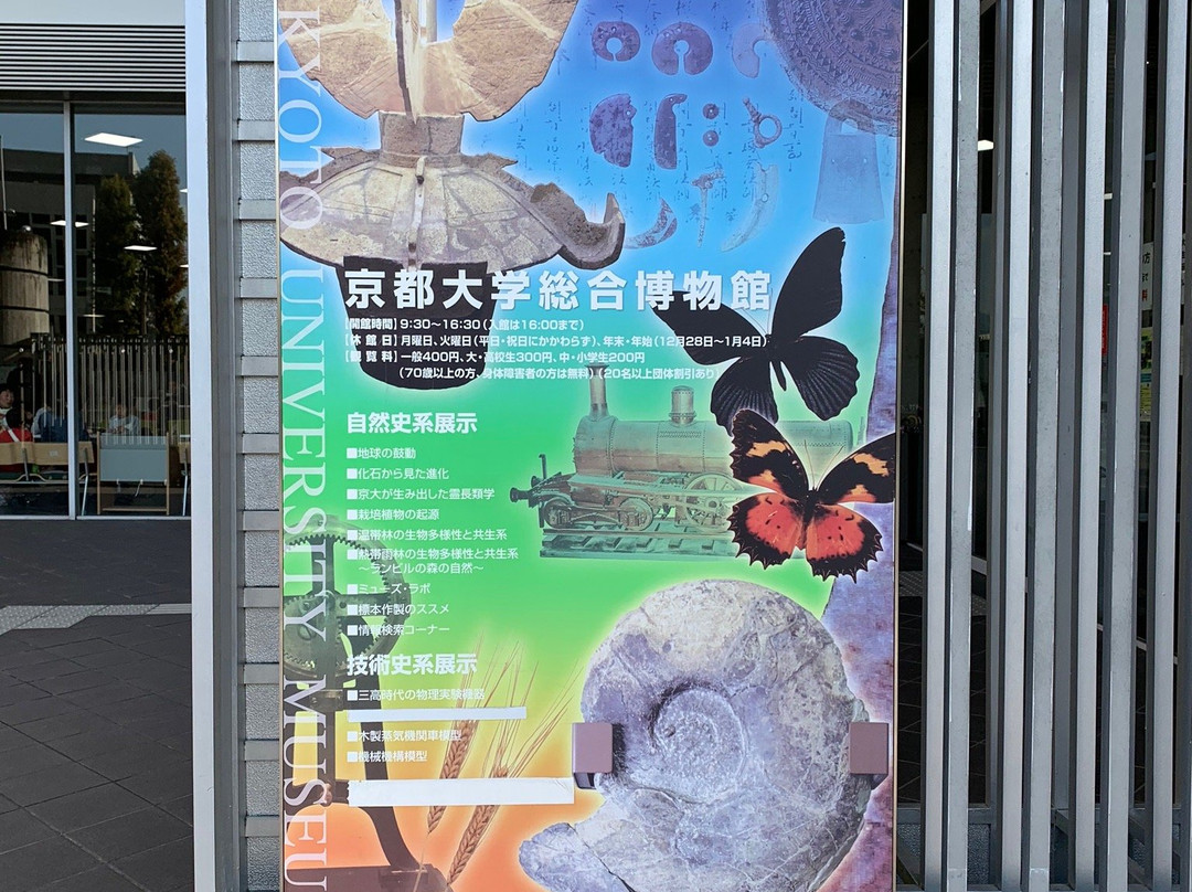 京都大学综合博物馆景点图片
