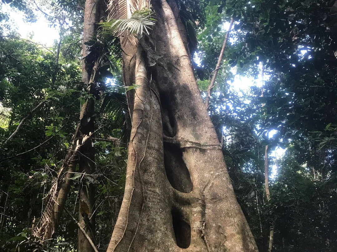 The Bump Track-Mowbray必去景点