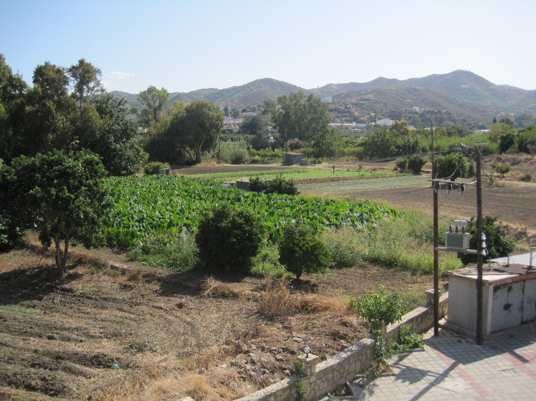 Vouni King Hotel主图