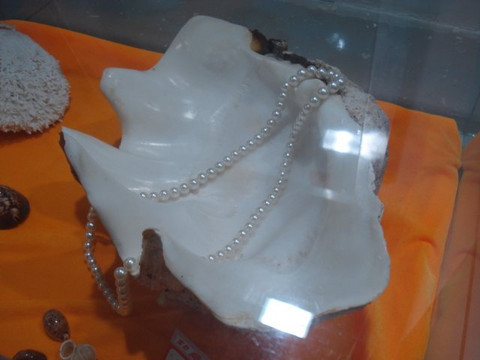 珍珠文化博物馆-桂林市必去景点