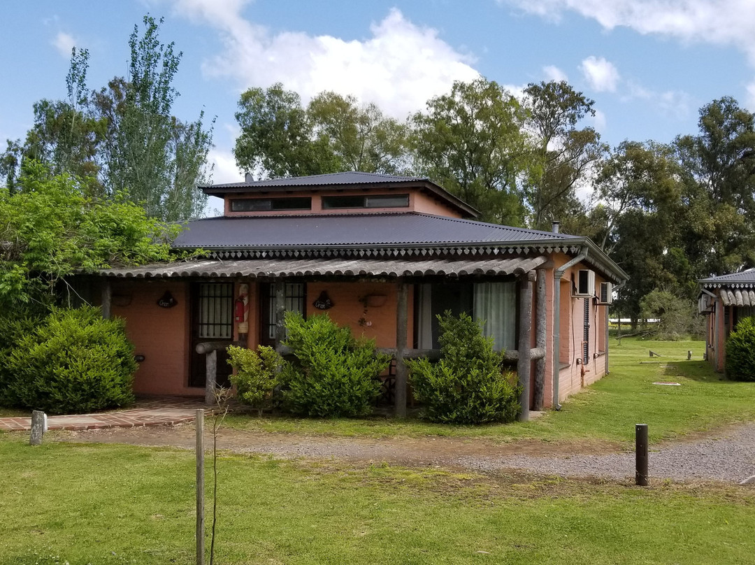 Pampas del Sur主图