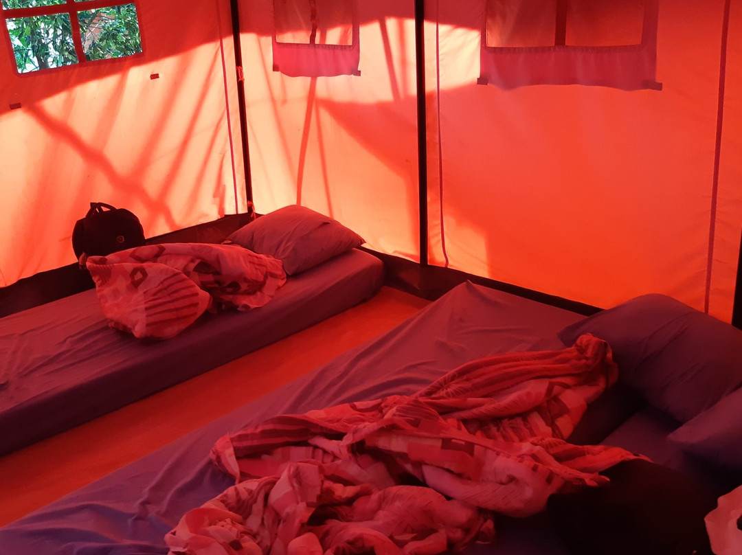 Camphills Eco Stay主图