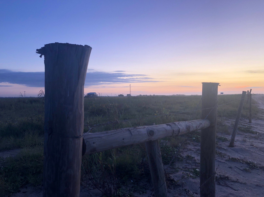 Rutherford Beach-Hackberry必去景点