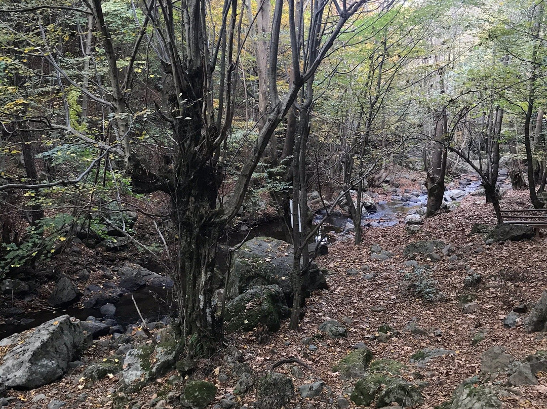 Erikli Waterfallo-Yalova必去景点