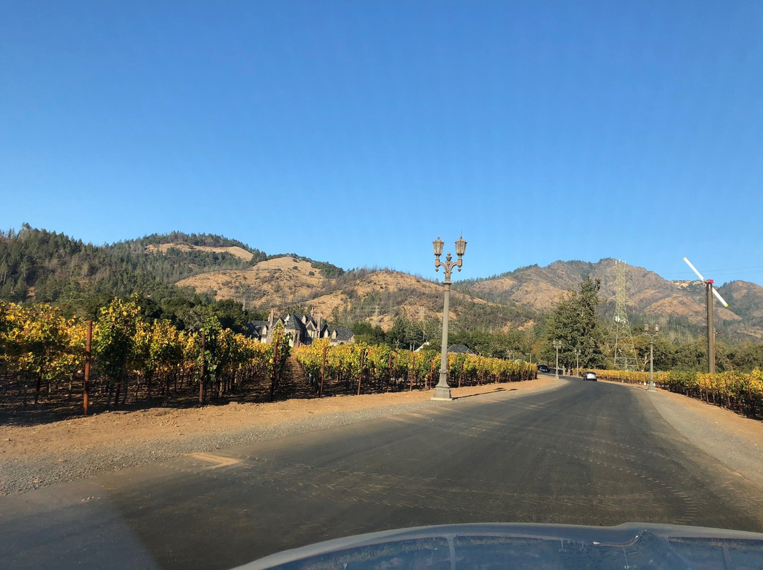 Valley of the Moon Winery景点图片