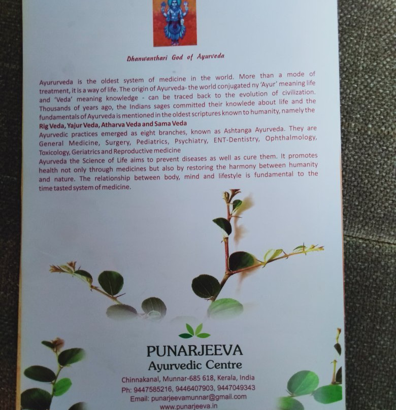 Punarjeeva Ayurvedic Center景点图片