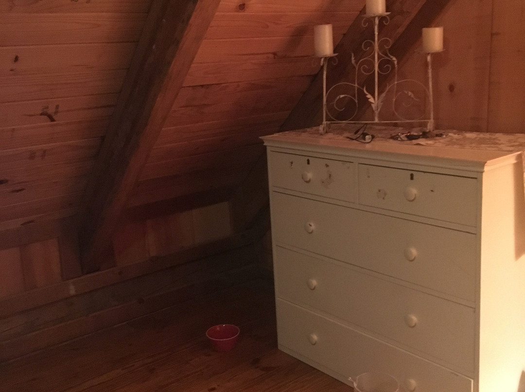 Hillsborough B&B主图