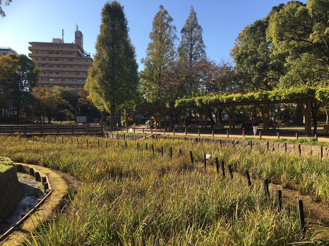 Shobu Numa Park-足立区必去景点