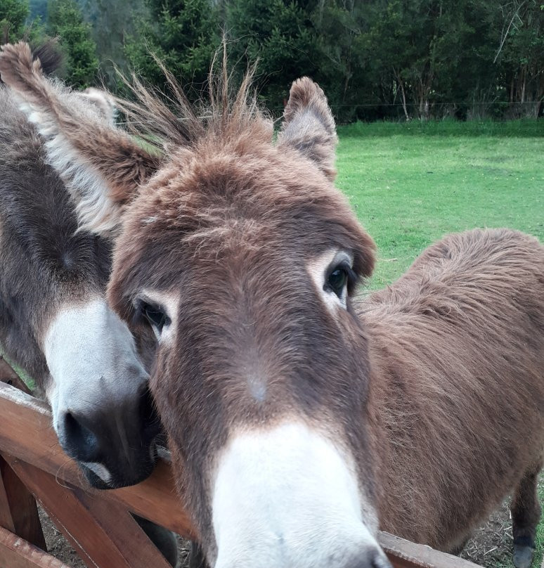 Granja Educativa Tierraviva-蒙特港必去景点