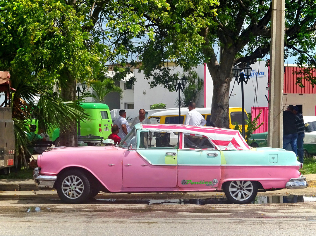 Casa Arletty Santa Marta主图